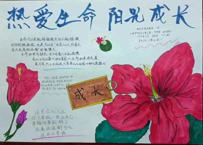 热爱生命阳光成长手抄报简单