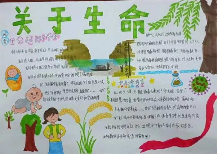 热爱生命阳光成长手抄报简单