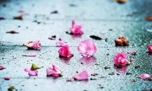 安徒生童话故事：隐存着并不就是被忘却