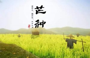 30首关于芒种的经典古诗词，读起来都很美