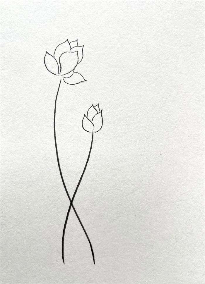 简单线条简笔画：小荷才露尖尖角早有蜻蜓立上头