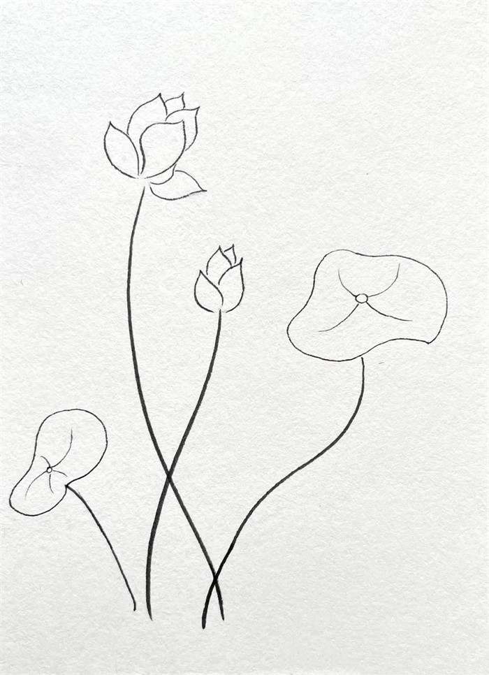 简单线条简笔画：小荷才露尖尖角早有蜻蜓立上头