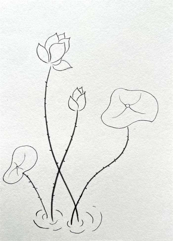 简单线条简笔画：小荷才露尖尖角早有蜻蜓立上头