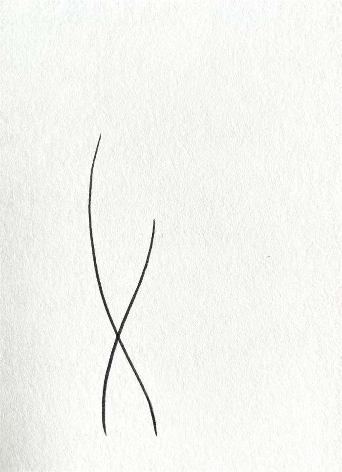 简单线条简笔画：小荷才露尖尖角早有蜻蜓立上头