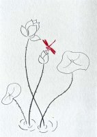 简单线条简笔画：小荷才露尖尖角早有蜻蜓立上