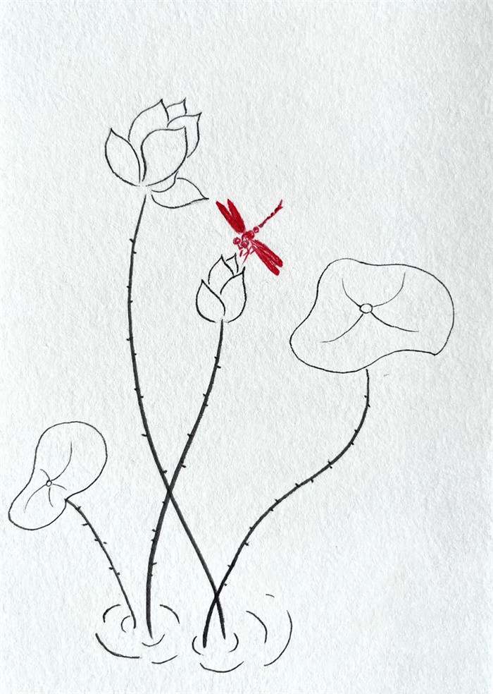 简单线条简笔画：小荷才露尖尖角早有蜻蜓立上头
