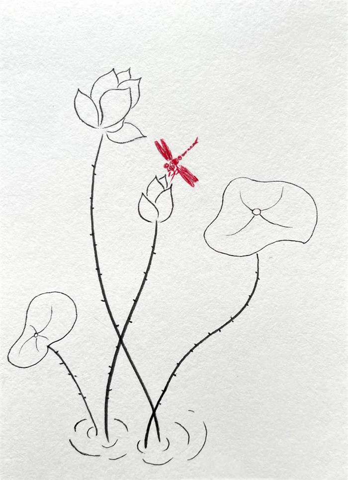 简单线条简笔画：小荷才露尖尖角早有蜻蜓立上头