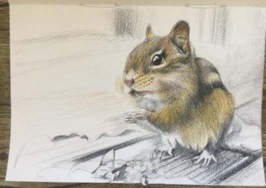 儿童睡前故事：含铅笔的小松鼠