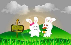 幼儿睡前故事：二贝和三贝