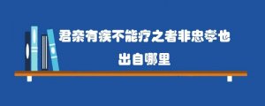君亲有疾不能疗之者非忠孝也出自哪里