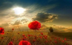 睡前故事：距离与命运