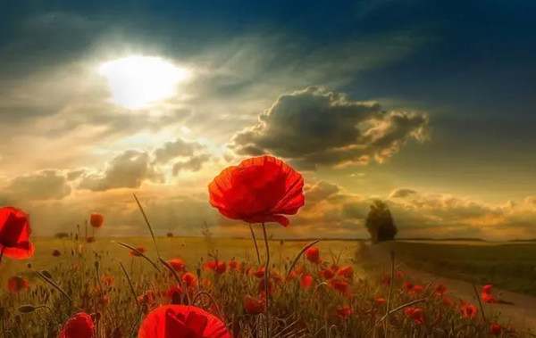 睡前故事：距离与命运