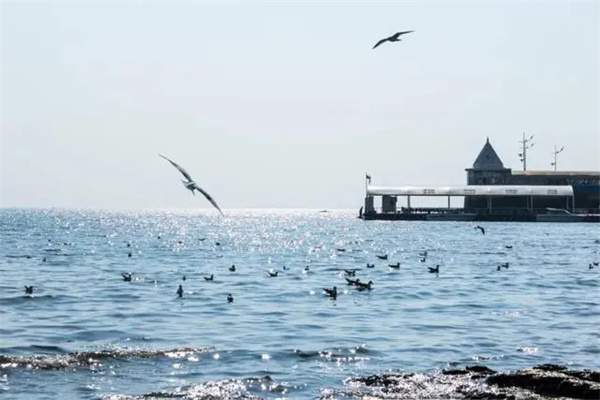 10首最美夏至古诗词