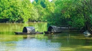 10首最美夏至古诗词，温柔了整个夏天