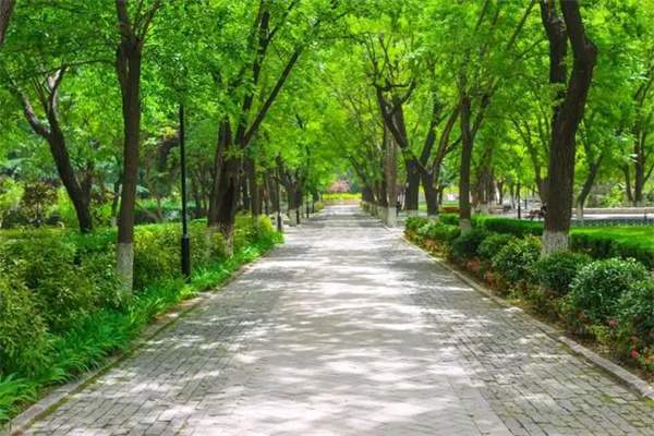 10首最美夏至古诗词