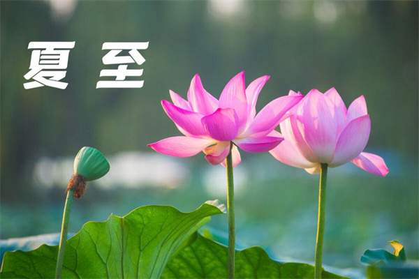 最著名的夏至诗词