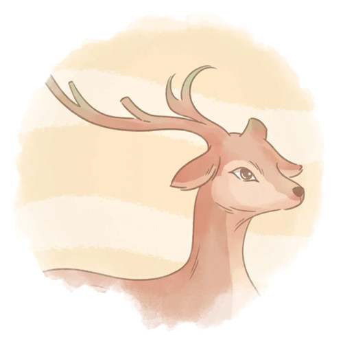 夏至节气知多少 夏至三候是什么