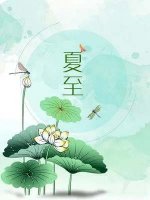 《二十四节气之夏至》教学设计