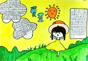 小学生夏至手抄报图片及内容简单又漂亮（精选