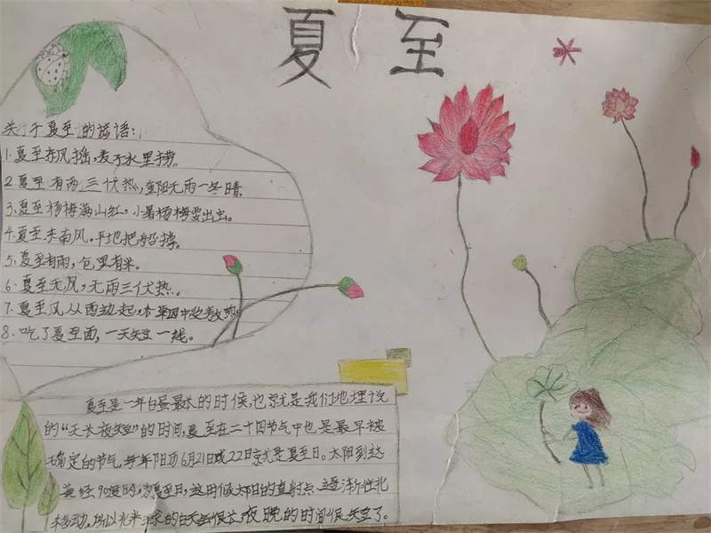 夏至手抄报图片及内容简单又漂亮