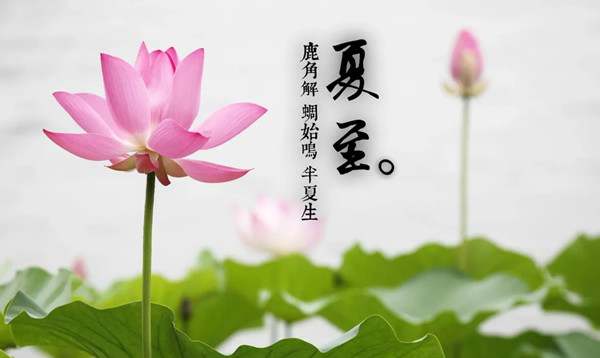 幼儿园二十四节气之夏至活动方案