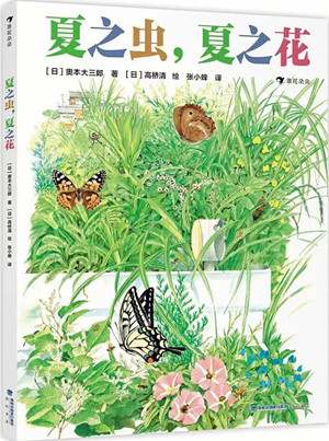 夏天到了，推荐几本适合夏天的绘本