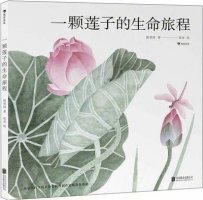 夏天到了，推荐几本适合夏天的绘本