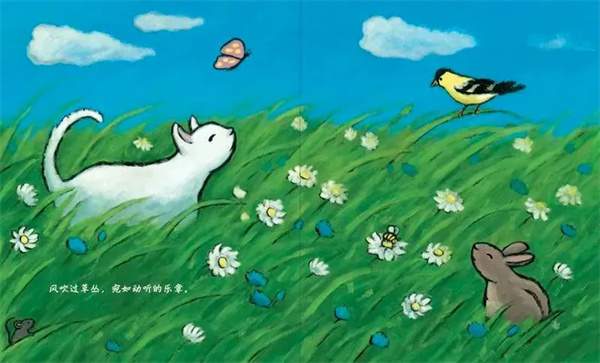 夏天到了，推荐几本适合夏天的绘本