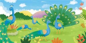 儿童睡前故事：孔雀的朋友