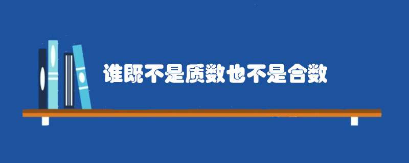 谁既不是质数也不是合数