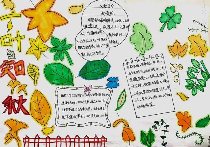 秋分手抄报图片及内容简单又漂亮