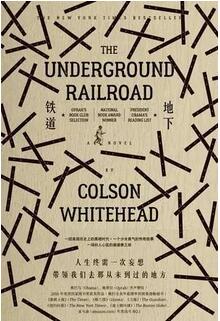 文学奖书单：从各国的最高文学奖中推荐一本好书给你