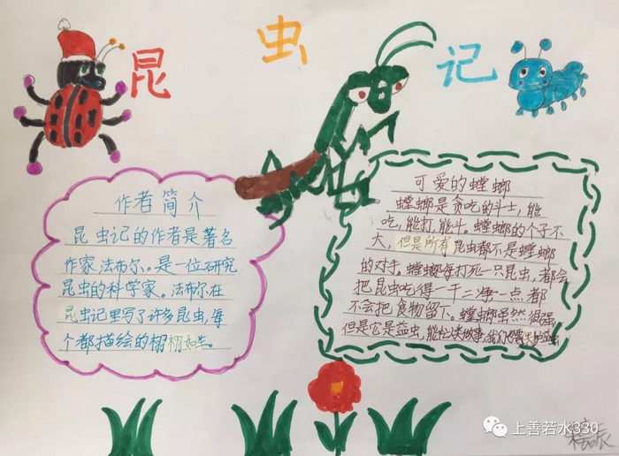 暑假读书小报图片简单又漂亮