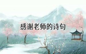 感谢老师的诗句38句