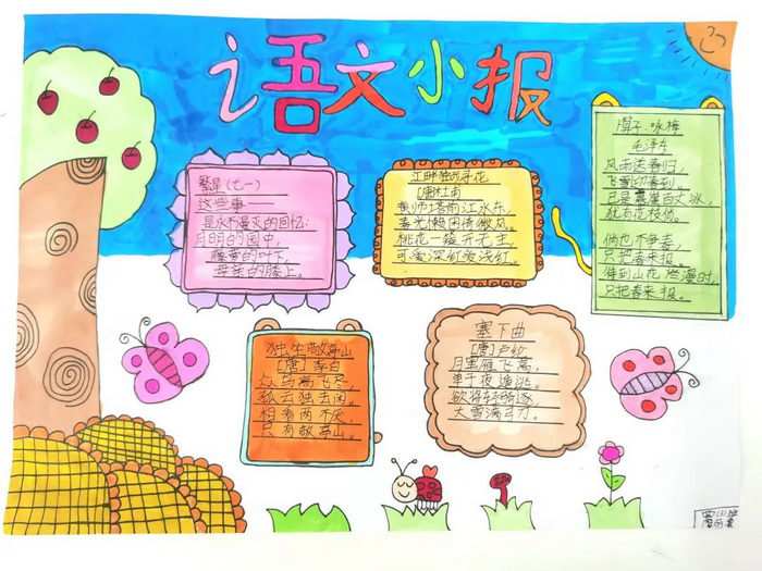 五年级语文小报手抄报图片