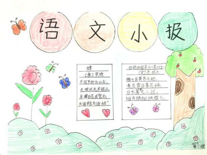 五年级语文小报手抄报图片