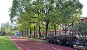 家长对学校的意见和建议怎么写（附例文43条）