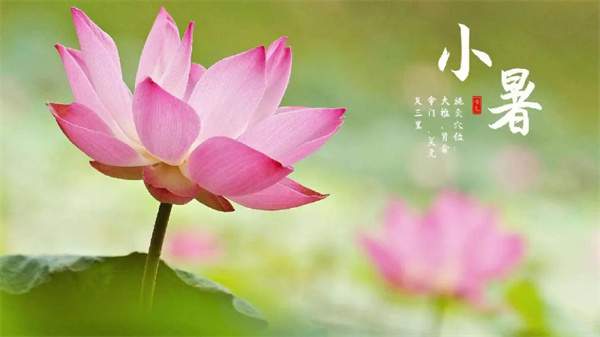 2024年小暑是几月几号