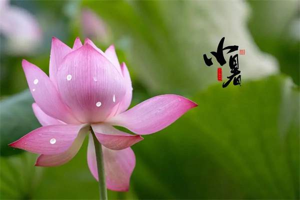 小暑是什么意思