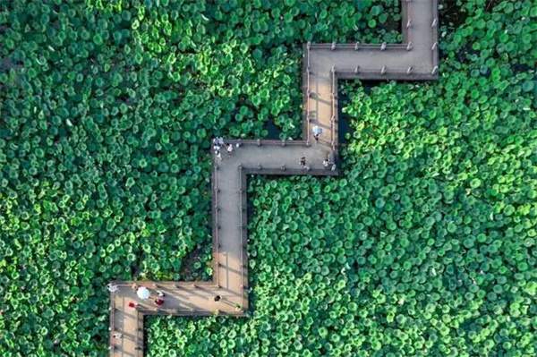 10首最美小暑古诗词，遇见最美夏日时光