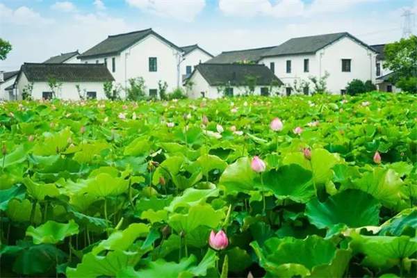 10首最美小暑古诗词，遇见最美夏日时光