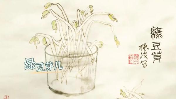 小暑三宝 绿豆芽