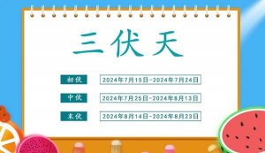 今年三伏天是什么时间2024年