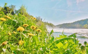 表示夏天炎热心情的句子98句