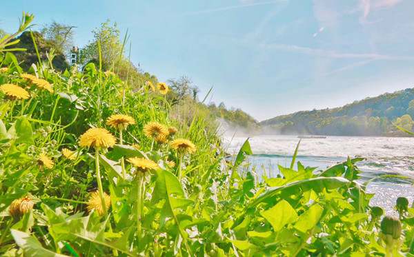 表示夏天炎热心情的句子98句