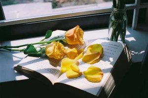 幼儿园毕业家长给老师的感谢词29句