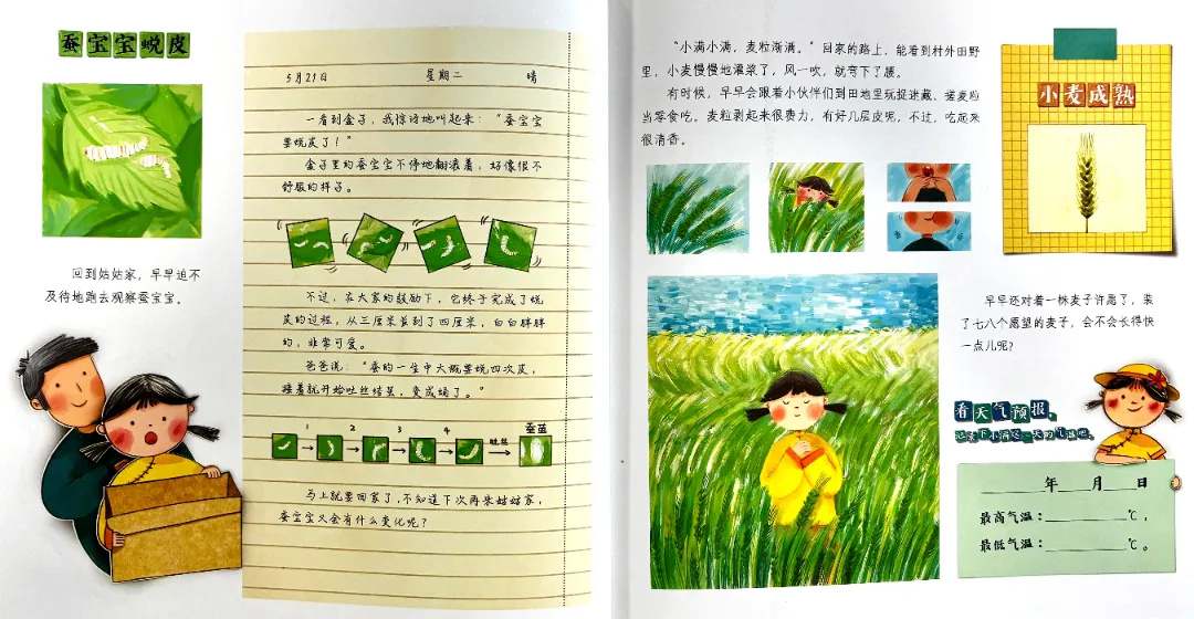 儿童绘本故事《我身边的二十四节气》夏长篇