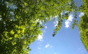 描写夏天炎热的句子91句