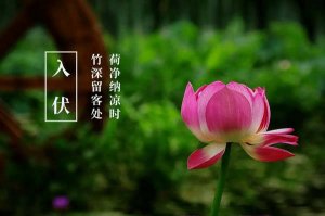 适合入伏发朋友圈的句子96句