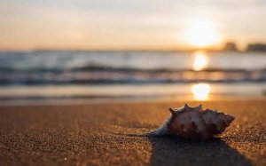 描写夏天的句子80句